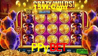 A Emoção da Loteria na PPybet: Uma Chance de Mudança de Vida